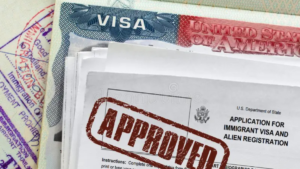 Read more about the article EB2 NIW Approval Rate in 2025: What Applicants Need to Know