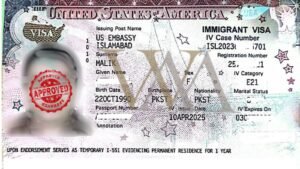 PHARMACIST ATTYA TUL MALIK